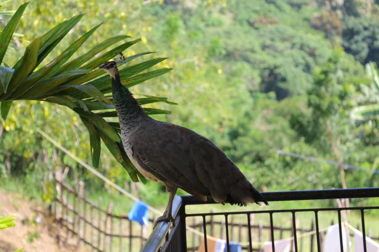 Hotel Colinas Del Rey Hato Mayor Del Rey Eksteriør bilde